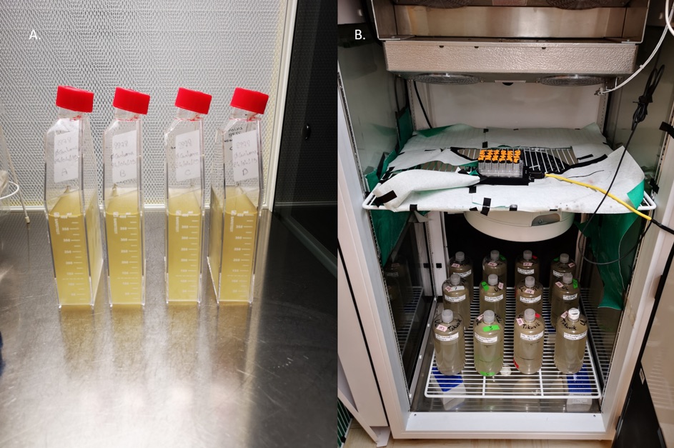 2Lucas Tisserand Takuvik