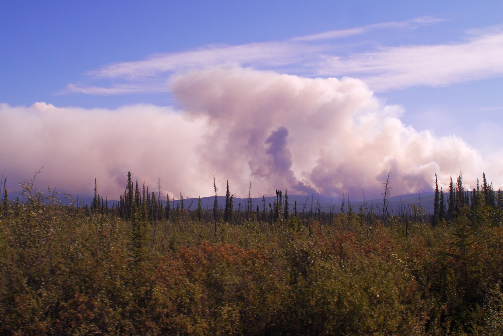 Peel River 06 07 19 Frederieke Miesner1 1