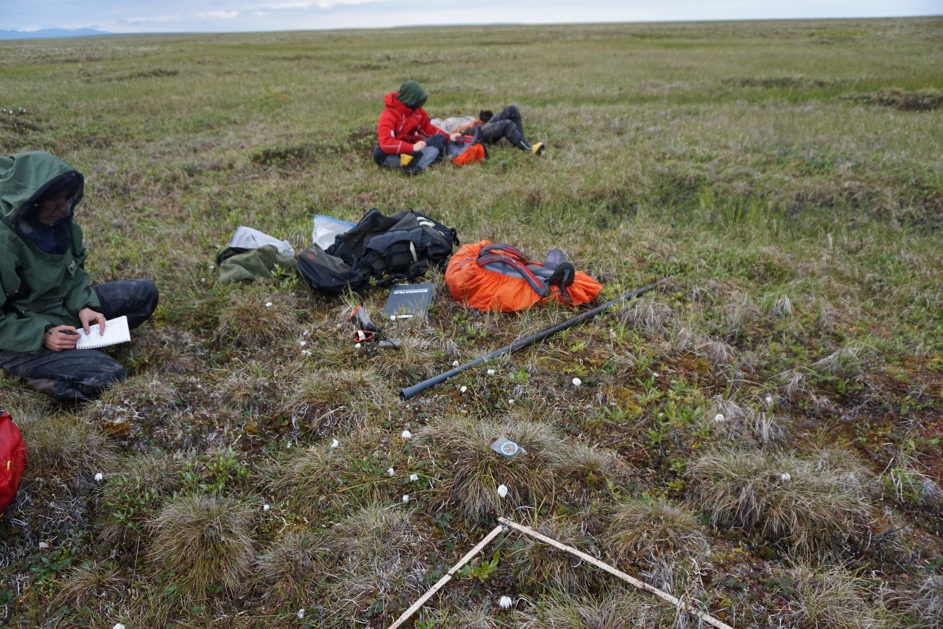 Another day in the office… ©Julia Wagner Picture4 5 small