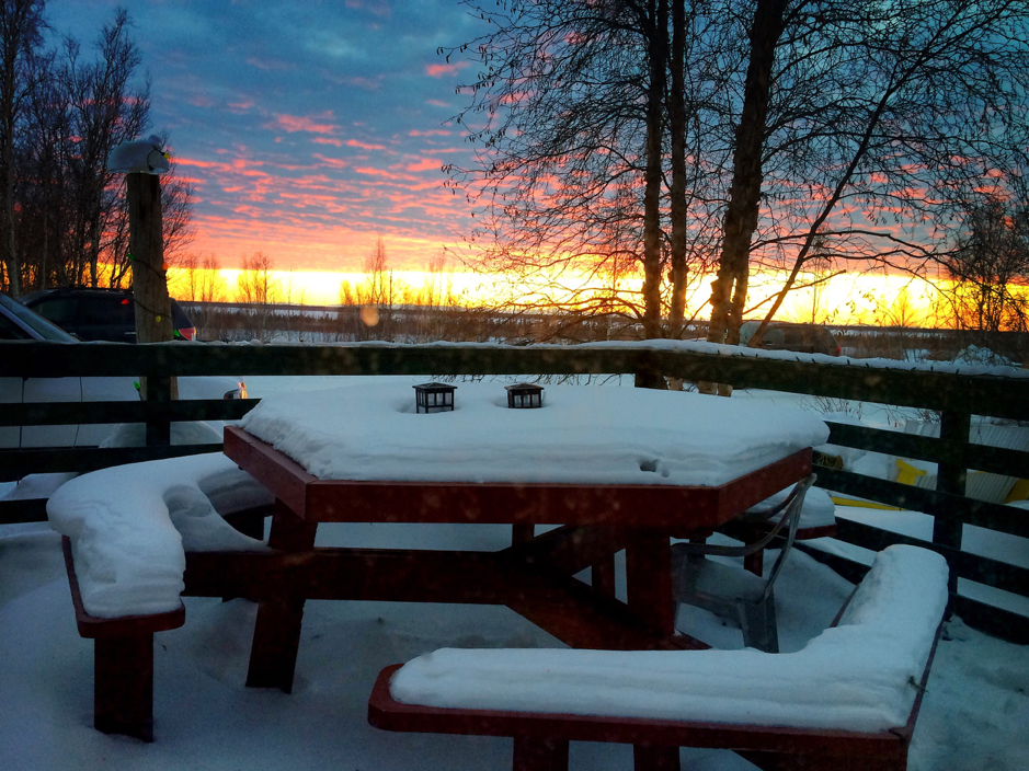 After a dinner of reindeer chili and white fish tacos at Alestine’s restaurant, the Takuvik team enjoys a last sunset before returning to Quebec City, in Inuvik, Northwest Territories, Canada, February 26, 2019. ©Martine Lizotte Takuvik2019 Picture2 17