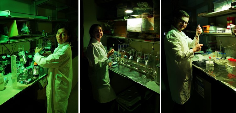 Lab team in Wonder(green)land. © Lucas Tisserand Takuvik2019 Picture7 6