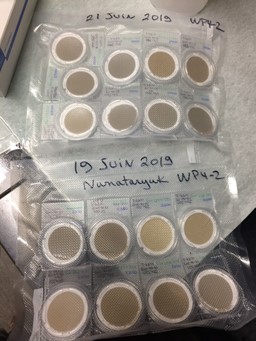 Lots of suspended matter on filters after filtration of the collected water from the western sector of the Mackenzie Delta . © Caroline Guilmette Takuvik2019 Picture7 7