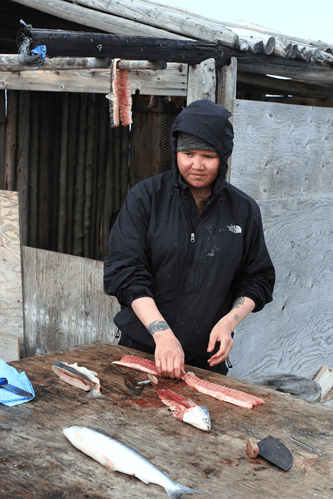 Stephanie Charlie prepares fish to be smoked while she also records fish parameters and samples tissue for a DFO survey. ©Édouard Leymarie. Takuvik2019 Picture9 5