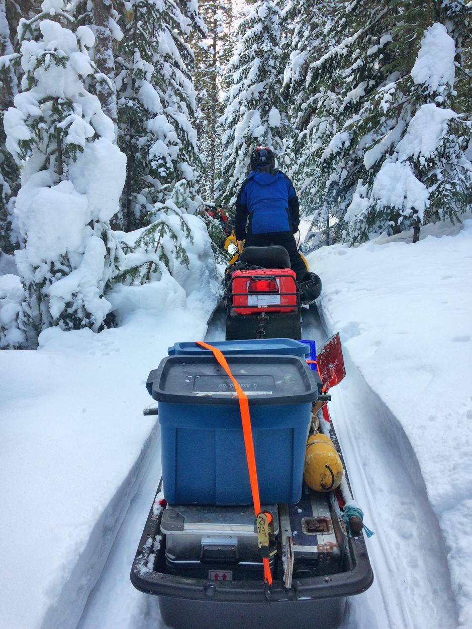 Members of the team use snowmobiles and sleds to carry the instruments and gear to the sampling site on Piché Lake, Forêt Montmorency, Canada, February 4, 2019. On this photo, Sylvain Blondeau. ©Martine Lizotte. Takuvik spring prep 2019 M.Lizotte Picture2