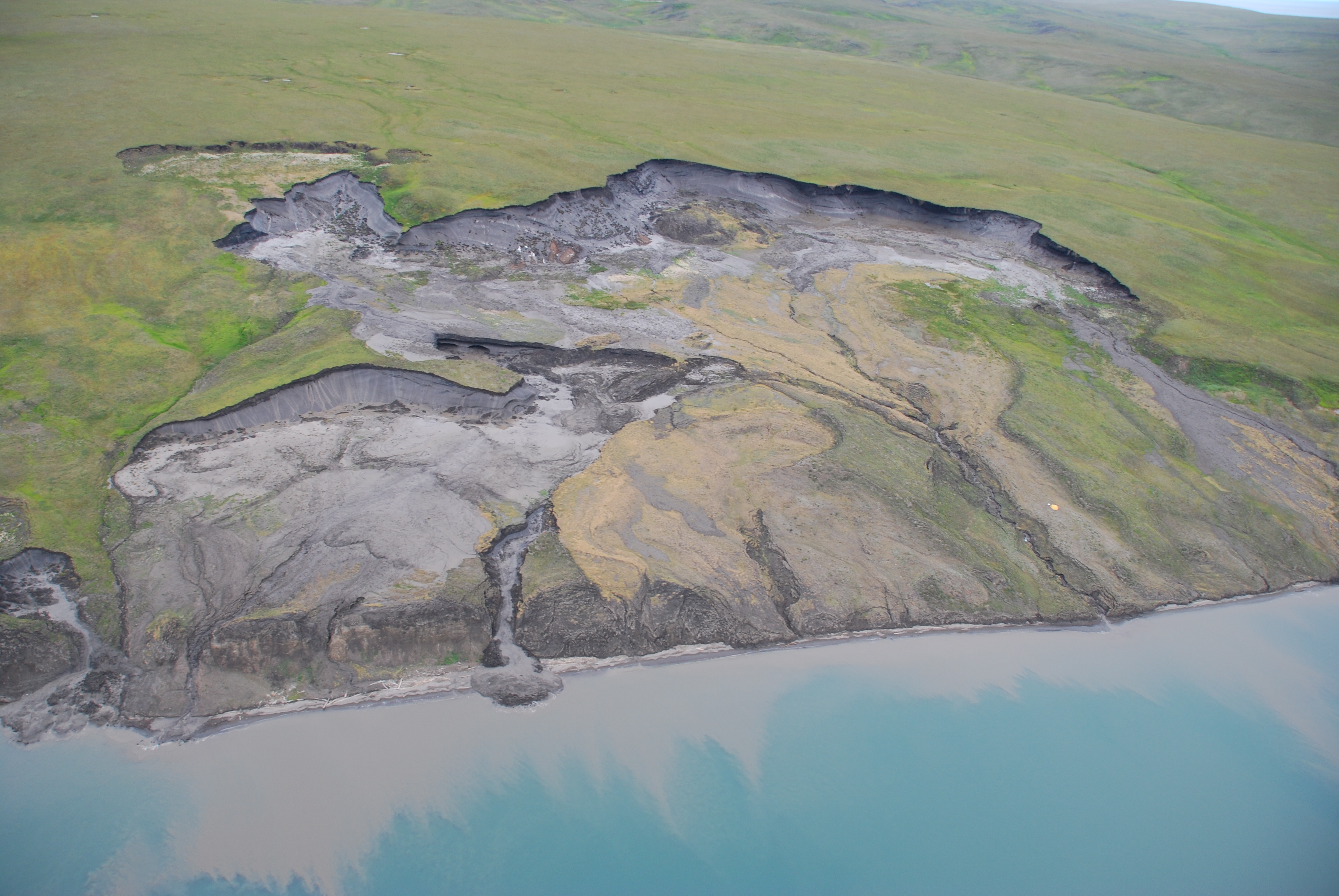 DSC 5209 Krautblatter 2012